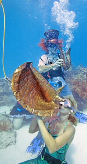 Image 1 - The quirky concert also promotes the serious cause of preserving the Keys’ unique coral reef ecosystem.